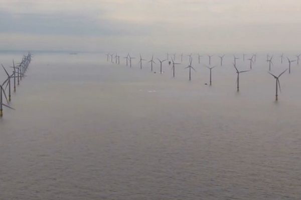 ferme éoliennes maritime