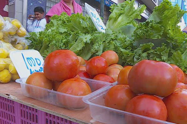 Pénurie de tomates : que se passe t-il ?