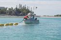 Lutte anti-requin en Nouvelle-Calédonie : une nouvelle barrière installée à Nouméa