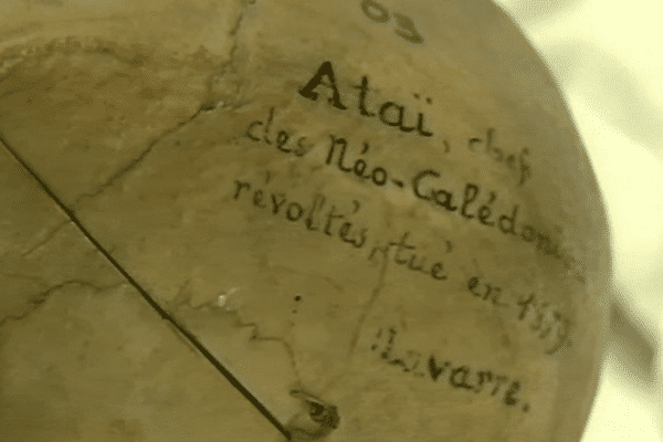 Le crâne du Grand Chef Ataï était entreposé au musée de l'Homme, à Paris.