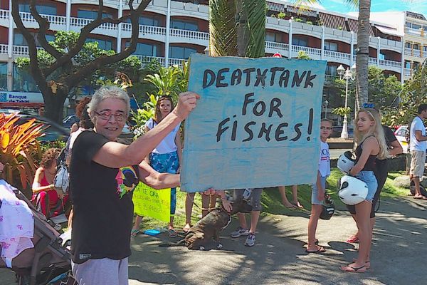 Un sit-in contre le parc à poisson de Papeete 