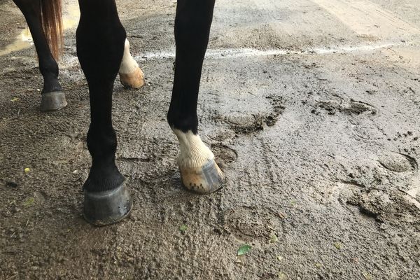 Une trentaine de participants se sont mesurés samedi sous une pluie intermittente.