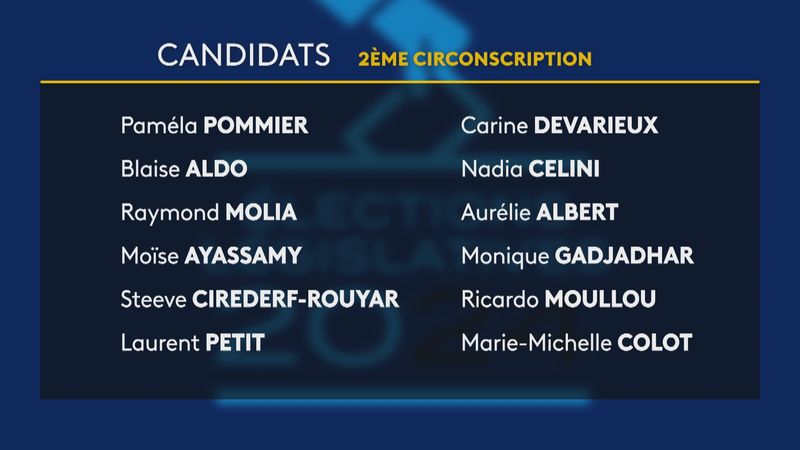 Législatives 2024 En Guadeloupe : Aldo Blaise, Ludovic Tolassy, Michel ...