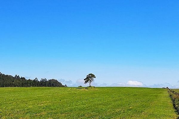 Les Plaines de La Réunion avril 2020