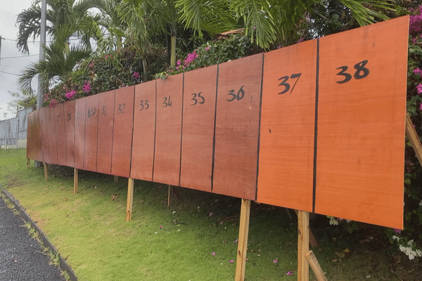 Des panneaux d'affichage pour les élections en Martinique.