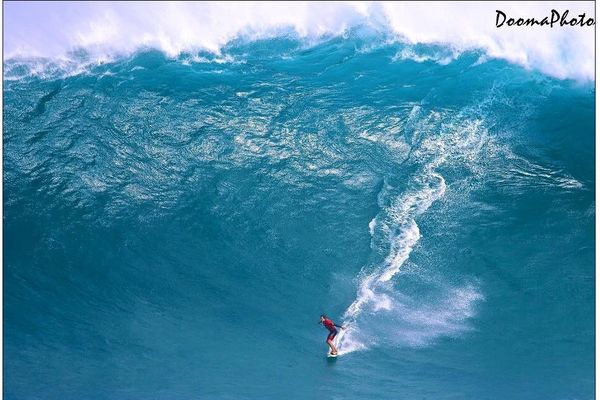 Tikanui Smith à Jaws