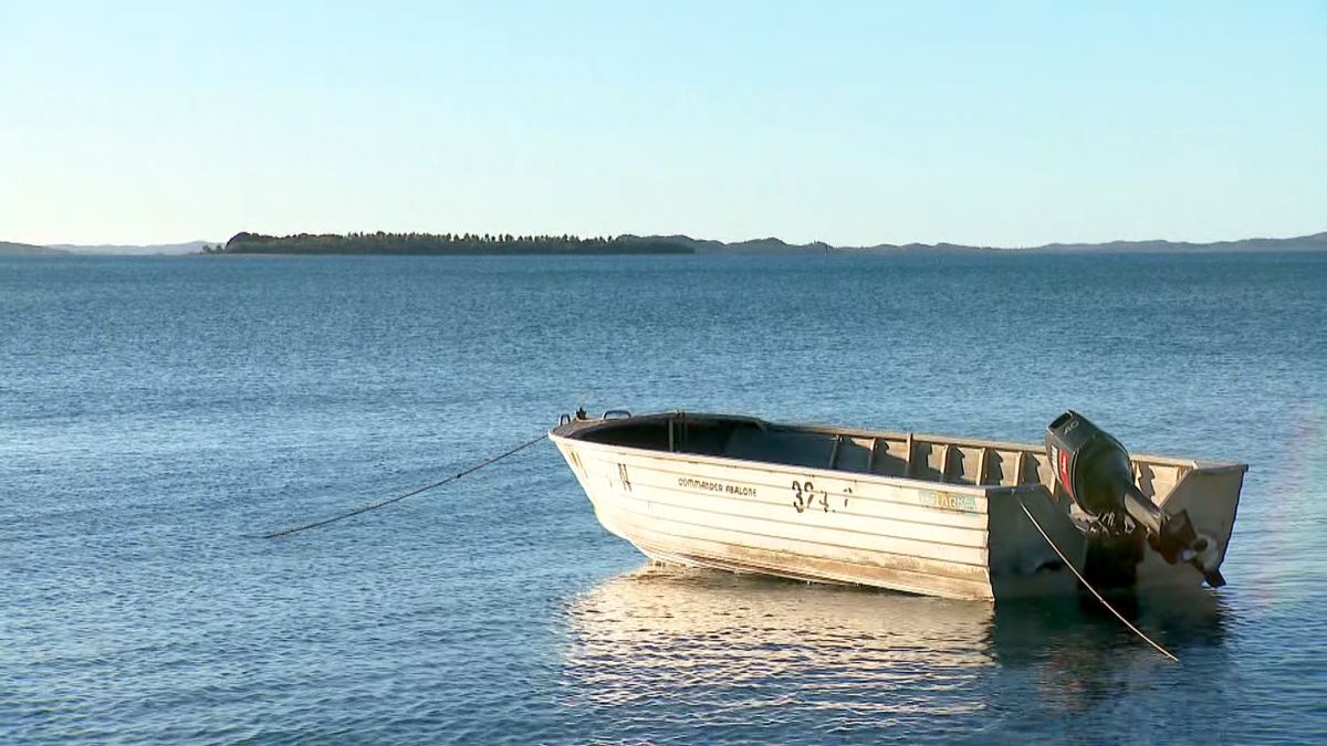 Nouvelle-Calédonie : attaque mortelle de requin