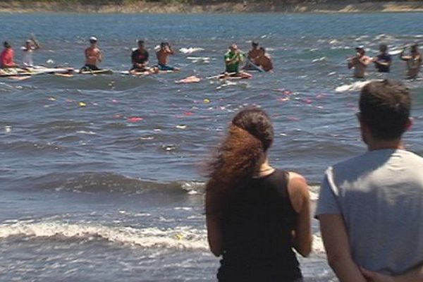 Un champ de pétale comme dernier souvenir flotte sur l'eau