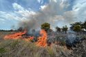 Un violent incendie ravage la végétation près de l'aérodrome de Koné