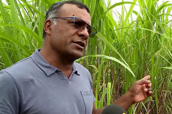 Jean-François Moutama, agriculteur