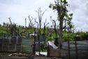 "Il faut rebâtir une agriculture nouvelle" : le président de la caisse de Sécurité sociale de Mayotte à Paris pour défendre les agriculteurs