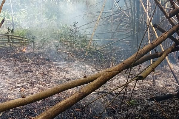 Feu de végétation près de la cascade de Soulou