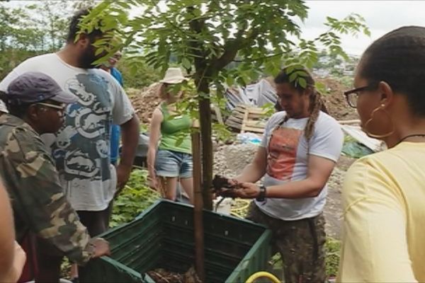 cours de compost