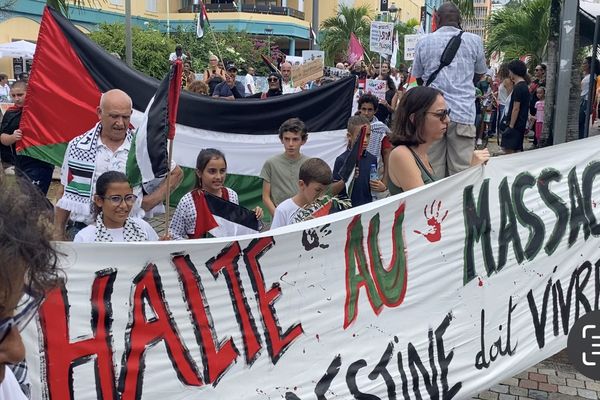 Manifestation contre le bombardement de Gaza