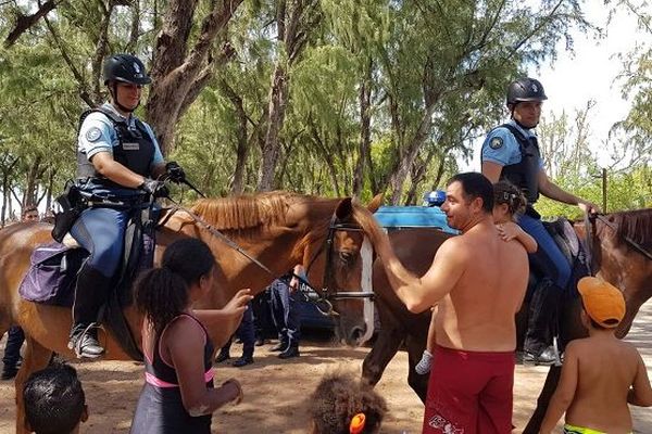 Durant les vacances scolaires, des gendarmes patrouillent à cheval sur les plages de l'Ouest. 