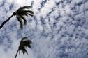 La Réunion: un lundi entre nuages et soleil selon Météo France