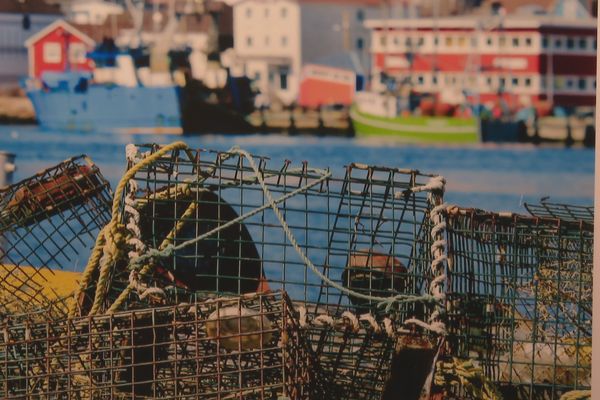 Le cliché de Nacha Lafargue Tableau d'pêche a remporté la compétition.