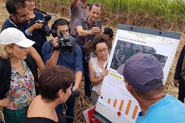 Annick Girardin a rencontré les agriculteurs dans les hauts de Sainte-Marie. 