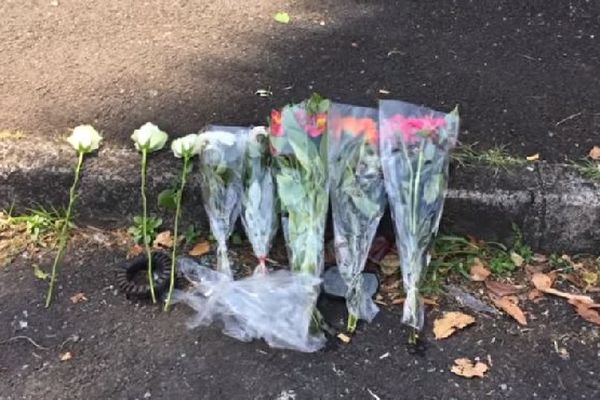 Fleurs pour les lycéens de Saint-André sept 2017