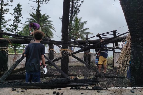 Des jeunes en réparation de peine et en suivi pénal travaillent avec membres du Sénat coutumier, depuis samedi 11 juin, à Nouville.