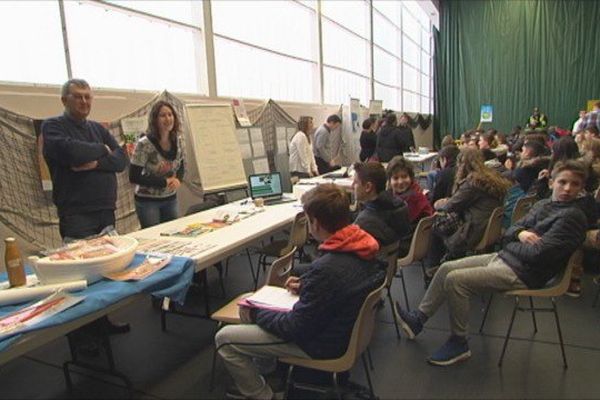 Forum des métiers : une journée pour penser à son avenir 