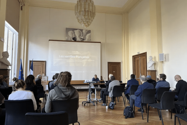 Troisième conférence sur les vanilles françaises au ministère des Outremers