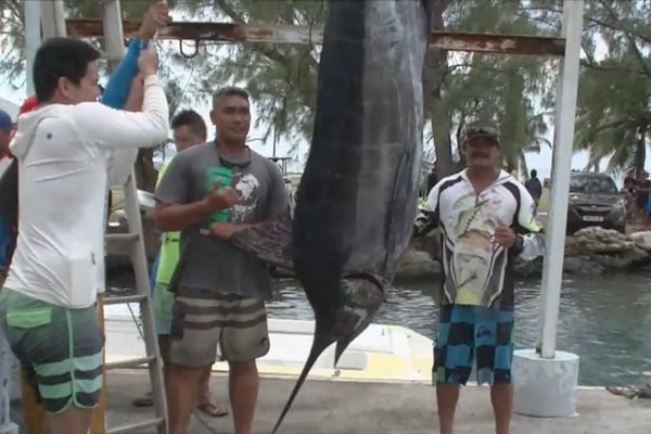 pêche au gros Raiatea