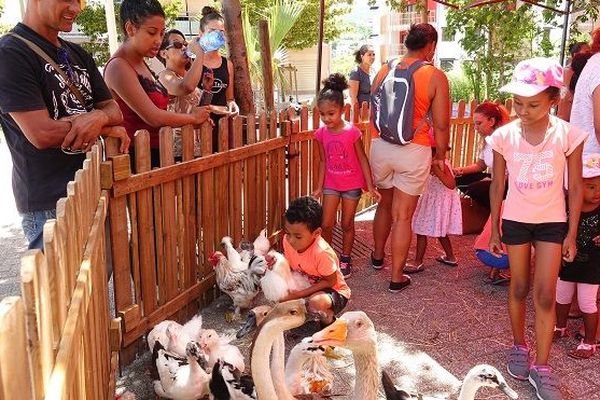 Une ferme pédagogique au cœur de La Possession