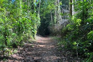 Le Sentier Du Rorota Un Hymne à La Nature Interdit