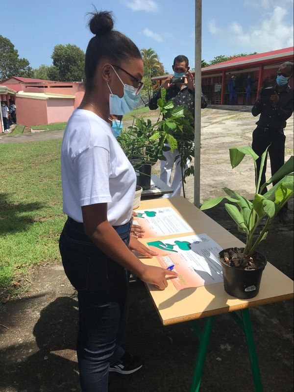 100 arbres pour mon collège 4