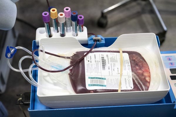 Collecte de sangs rares