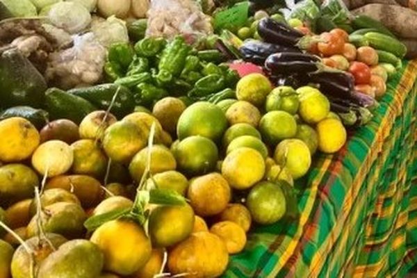 Les agrumes sur les étals de marché