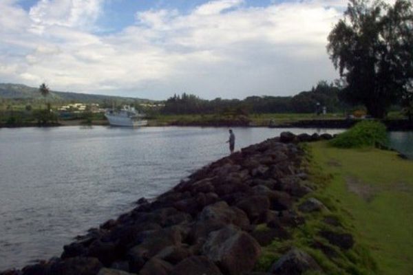 Faratea : l'idée d'un hub de pêche refait surface