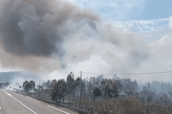 L'incendie s'est déclaré à la sortie de Koumac, le vendredi 11 octobre.