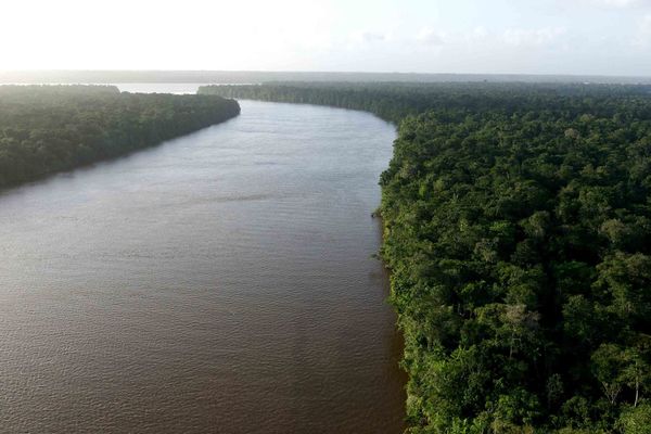 Vue aérienne au dessus du fleuve Maroni, à l'Ouest de la Guyane