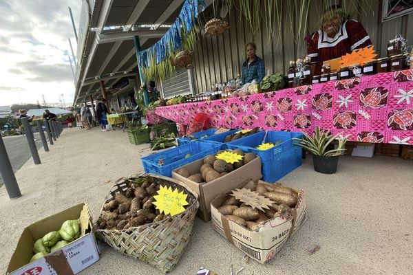 Samedi 24 juin, autour de la gare Betico à Nouméa, les produits de Lifou sont dans la place.