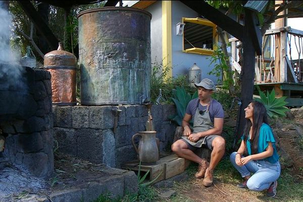 Shannti Dinnoo et Yohan Morel à côté d'un ancien alambic à géranium 