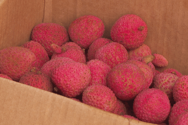 litchis pastèques tubuai