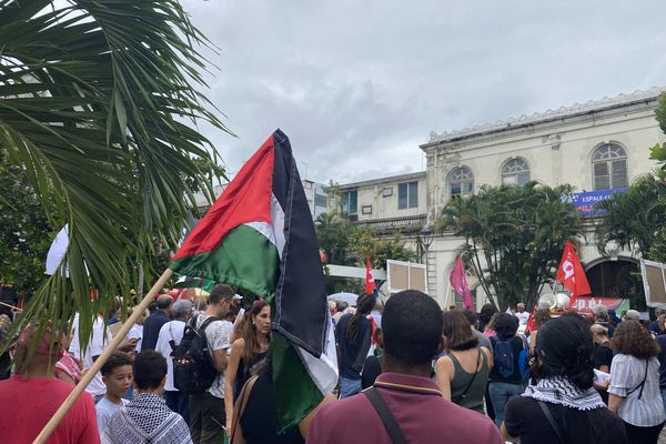 Drapeaux palestiniens à Fort-de-France