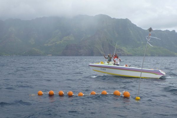 De nouveaux DCP à proximité des côtes des îles Marquises