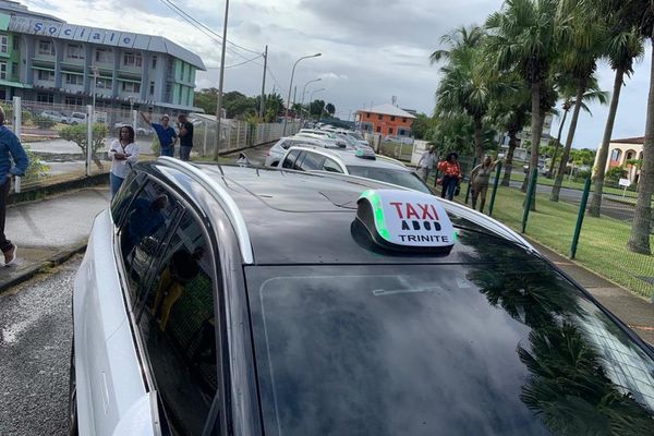 Les taxis de places mobilisés devant le siège de la CGSS au Lamentin en Martinique (le 29 janvier 2024).