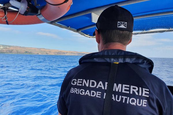 Les gendarmes de la Brigade Nautique Côtière veillent au respect de l'arrêté sur l'observation des baleines