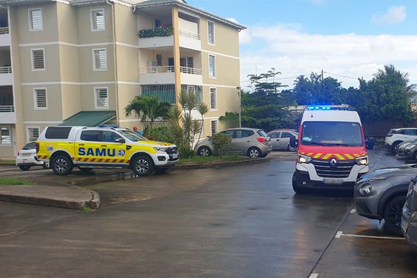 L'incident s'est produit à la résidence "Pom Woz" située au quartier Belle étoile de Saint-Joseph.