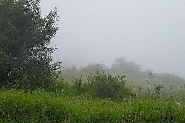 La Plaine dans les nuages 