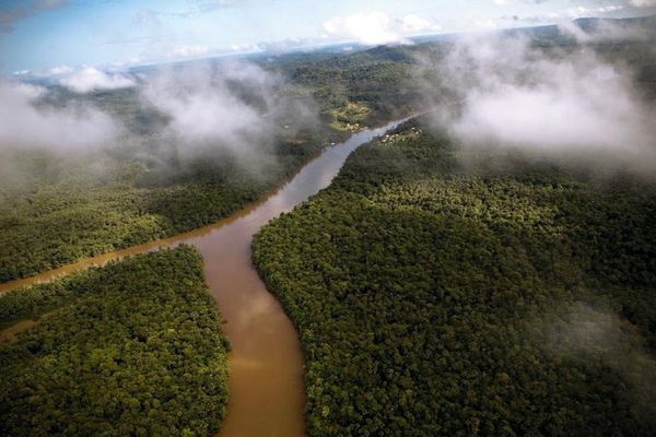 L'amazonie vue d'en haut