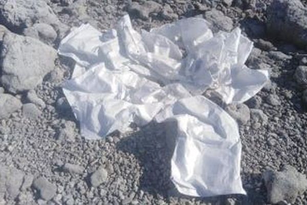 pollutions sacs plastique