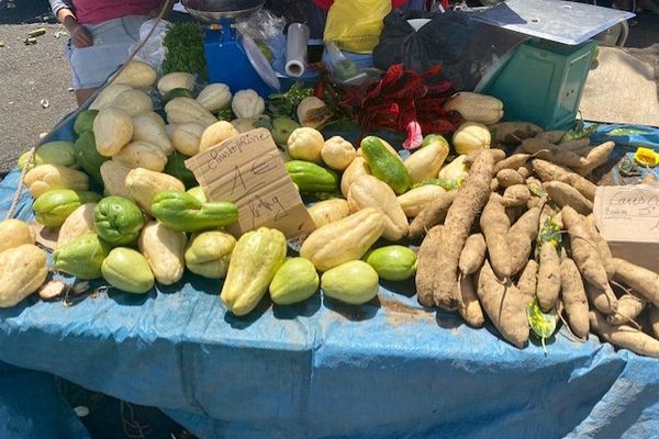 Étal au marché Max Ransay à Fort-de-France, samedi 19 février 2022.