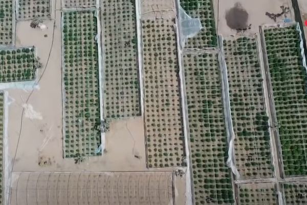 Vue aérienne d'une ferme illégale.