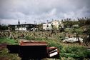 "Tout est broyé comme si c'était passé dans une machine à laver", des agricultures ont tout perdu avec le passage du cyclone Chido à Mayotte