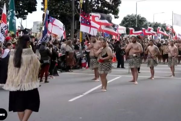 manifestation Maoris